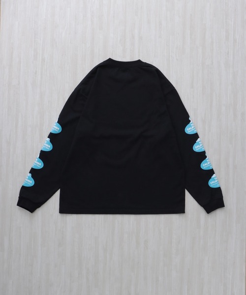 The Endless Summer(エンドレスサマー)の「TES OVAL LOGO PT LONG SLEEVE T-SHIRT / ロンT(Tシャツ/カットソー・メンズ・ホワイト/ネイビー/ブラック・XX-LARGE/X-LARGE/LARGE/MEDIUM/SMALL)」の16枚目の写真
