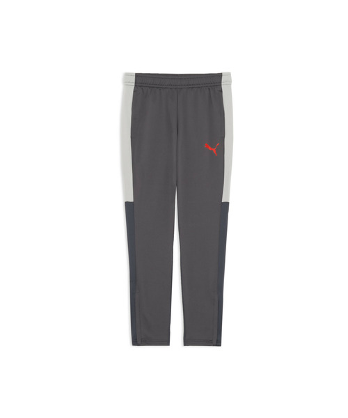 PUMA(プーマ)の「PUMA プーマ メンズ サッカー INDIVILIGA TR パンツ(その他パンツ・メンズ・グレー系その他5/ブラック・LARGE/MEDIUM/X-LARGE/SMALL/XX-LARGE)」の9枚目の写真