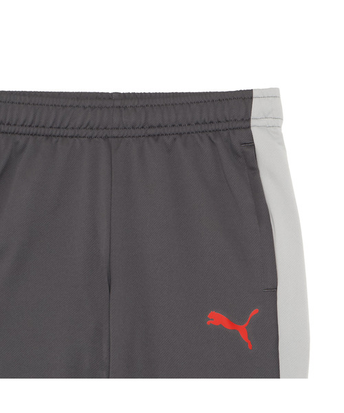 PUMA(プーマ)の「PUMA プーマ メンズ サッカー INDIVILIGA TR パンツ(その他パンツ・メンズ・グレー系その他5/ブラック・LARGE/MEDIUM/X-LARGE/SMALL/XX-LARGE)」の11枚目の写真