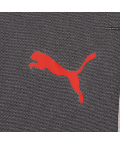 PUMA(プーマ)の「PUMA プーマ メンズ サッカー INDIVILIGA TR パンツ(その他パンツ・メンズ・グレー系その他5/ブラック・LARGE/MEDIUM/X-LARGE/SMALL/XX-LARGE)」の12枚目の写真