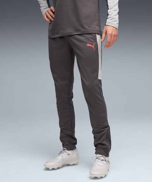 PUMA(プーマ)の「PUMA プーマ メンズ サッカー INDIVILIGA TR パンツ(その他パンツ・メンズ・グレー系その他5/ブラック・LARGE/MEDIUM/X-LARGE/SMALL/XX-LARGE)」の2枚目の写真