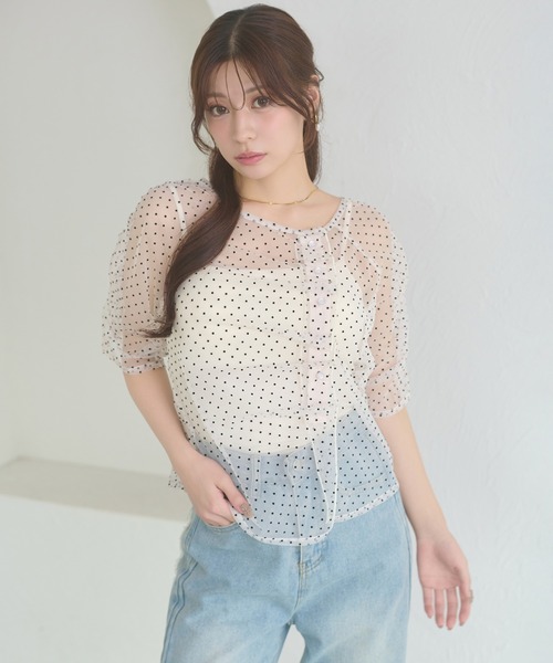 Ambre Neige(アンブルネージュ)の「sheer gathere top / シアーギャザートップス(シャツ/ブラウス・レディース・その他/グレー/アイボリー/ダークブラウン・FREE)」の1枚目の写真