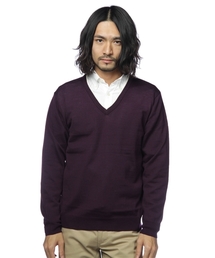 BEAUTY&YOUTH UNITED ARROWS | BY 12ゲージ ライン Vネックニット ◆(ニット/セーター)