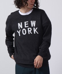 Logo crew neck knit / ロゴクルーネックニット unisex