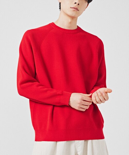 EDIFICE（エディフィス）の「14ゲージ アゼ クルーネックニット（ニット/セーター・メンズ・ベージュ/ホワイト系その他/レッド/グリーン/ブラック/ブルー・LARGE/MEDIUM）」の6枚目の写真