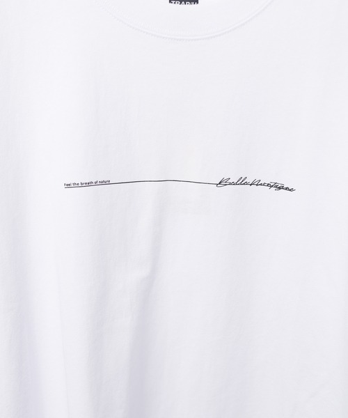 ARCHIVER(アーカイバ)の「【69】PTショートスリーブ コットンTシャツ(Tシャツ/カットソー・レディース・ホワイト系1/ホワイト系2/ホワイト系3/ブラック系2/ブラック系1/ブラック系3/ベージュ/ブルー系/ライトグリーン・MEDIUM/LARGE)」の14枚目の写真