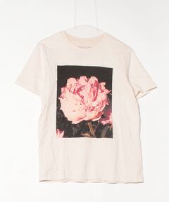 新品 LISA KING リサキング　PINK LINE ORCHID Tシャツ 新品 LISA KING リサキング PINK LINE ORCHID Tシャツ - メルカリ