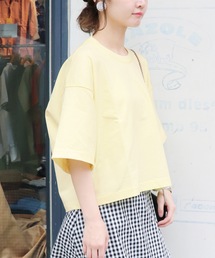 SLOBE IENA | デラヴェクロップドTシャツ◆(Tシャツ/カットソー)