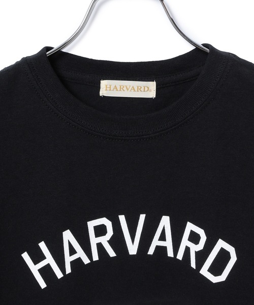 Adam et Rope&#39; - アダムエロペ  限定カレッジTシャツ 楽天市場】【WEB限定】カレッジTシャツ／アダム エ ロペ