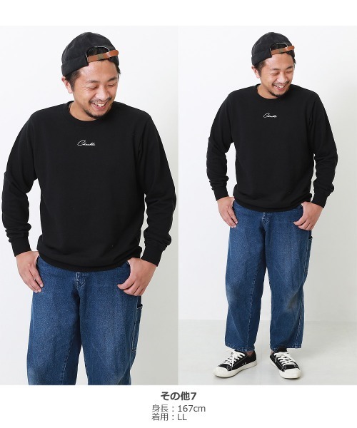 devirock（デビロック）の「綿100％ デビラボ プリント裏毛トレーナー大人（スウェット・レディース・その他9/その他1/その他3/その他8/その他7/その他11/その他2/その他20/その他16/その他4/その他13/その他19/その他6/その他17/その他12/その他14/その他18/その他10/その他15/その他5・M/L/LL）」の21枚目の写真