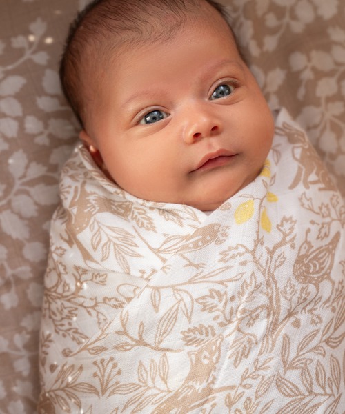 aden + anais （エイデンアンドアネイ）の「スワドル 3枚入り（おくるみ・キッズ・スカイブルー/ローズ/ホワイト×ピンク/ホワイト×ブラウン・FREE）」の17枚目の写真