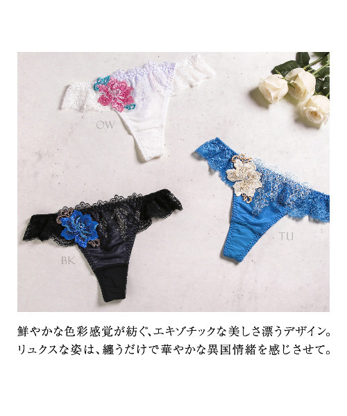 ⭐︎極美品⭐︎Ｌ⭐︎カシミヤ100%⭐︎ESTNATION 半袖⭐︎虫食い無し⭐︎女イチコロ HIMICO（ファッション） ショーツ 「華やかな異国情緒漂う