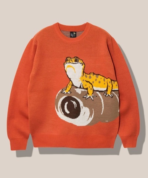 go slow caravan（ゴースローキャラバン）の「レオパ IMPACT