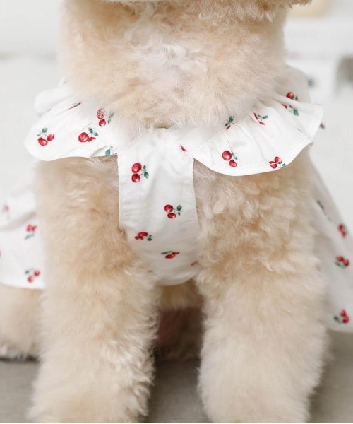 moncheri（モンシェリ）の「冷感フリルリボンさくらんぼワンピース（ペットウェア・レディース・ホワイト・XL/L/M/S/XS）」の2枚目の写真