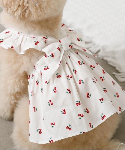 moncheri（モンシェリ）の「冷感フリルリボンさくらんぼワンピース（ペットウェア・レディース・ホワイト・XL/L/M/S/XS）」の17枚目の写真