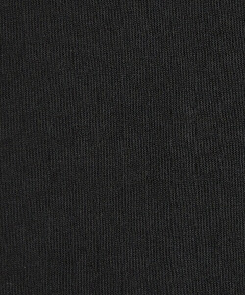 Russell Athletic(ラッセルアスレティック)の「【別注】<RUSSELL ATHLETIC>CPH Tシャツ /キッズ 110cm-130cm(Tシャツ/カットソー・キッズ・ブラック/ライム/ライトグレー・130cm/120cm/110cm)」の16枚目の写真