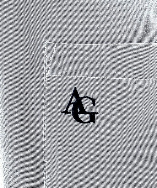 ANDGEEBEE（アンジービー）の「ネクタイセットシャツ（シャツ/ブラウス・レディース・ブルー/グレー・FREE）」の16枚目の写真