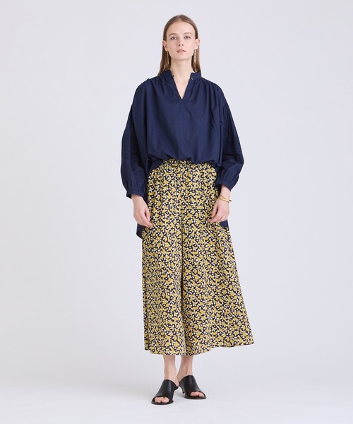 アガベ白毫刺/ ビャクゴウシ発根済みプレステラ105オリジナル