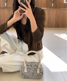 ヒョウ柄ショルダー2WAYバッグ