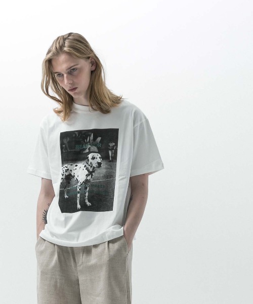 セール】【SLICK/スリック】Regular Fit Printed T-Shirt (Ready