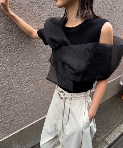 AIC.（エーアイシー）の「オーガンジーレイヤードトップス（Tシャツ/カットソー・レディース・オフホワイト/ブラック・FREE）」の21枚目の写真