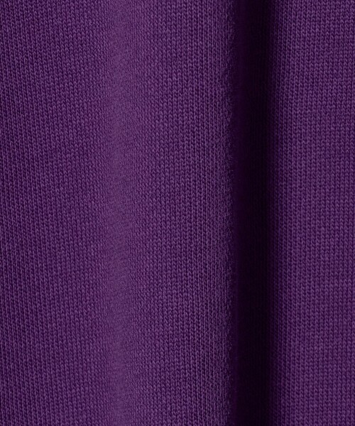 NICE WEATHER（ナイスウェザー）の「＜NICE WEATHER＞NICE ロゴ フーディ（パーカー・メンズ・モカ/パープル/ライトグレー・S/XS/XL/L/M）」の5枚目の写真