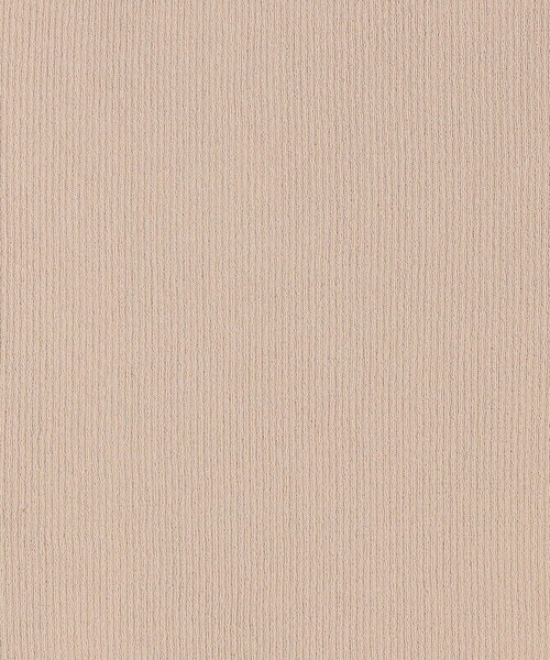 SHIPS(シップス)の「*〈手洗い可能/UVカット〉襟付きリブニット ボーダー/ソリッド◇(ニット/セーター・レディース・ベージュ/ネイビー/オフホワイト/ライトグリーン・ONE SIZE)」の21枚目の写真