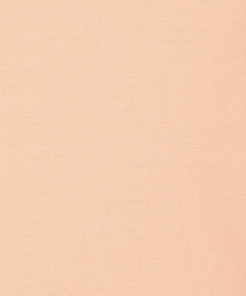 一部追加予約】シアージャージー クルーネックプルオーバー（Tシャツ