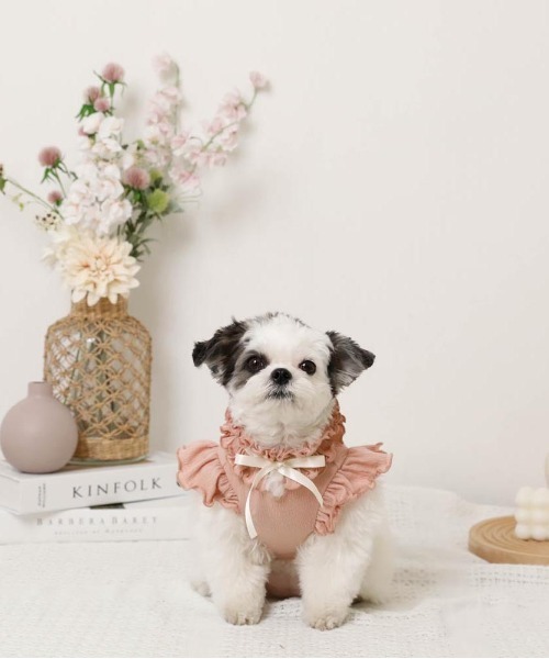 moncheri（モンシェリ）の「リボンスリーブフリルトップス【伸縮性あり・4サイズ展開】（ペットウェア・レディース・ベージュ/ホワイト/ネイビー/ピンク・XL/L/M/S）」の18枚目の写真