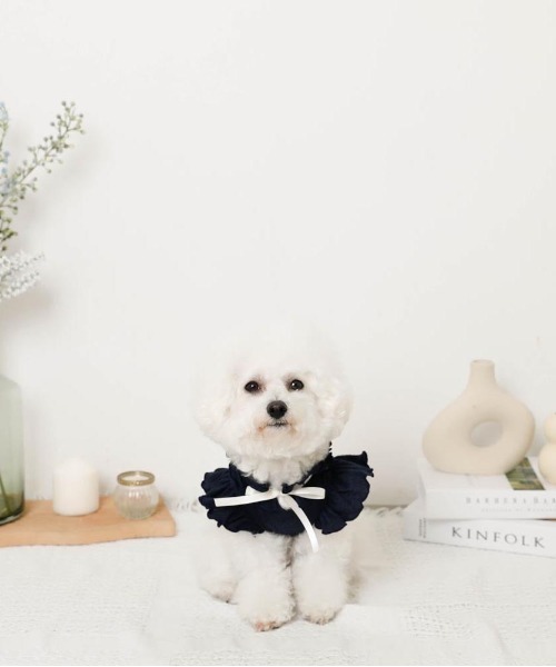 moncheri（モンシェリ）の「リボンスリーブフリルトップス【伸縮性あり・4サイズ展開】（ペットウェア・レディース・ベージュ/ホワイト/ネイビー/ピンク・XL/L/M/S）」の16枚目の写真