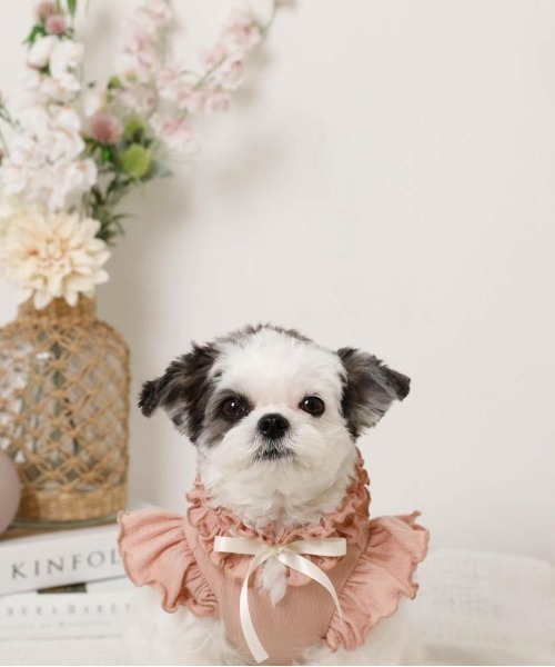 moncheri（モンシェリ）の「リボンスリーブフリルトップス【伸縮性あり・4サイズ展開】（ペットウェア・レディース・ベージュ/ホワイト/ネイビー/ピンク・XL/L/M/S）」の13枚目の写真