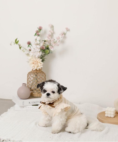 moncheri（モンシェリ）の「リボンスリーブフリルトップス【伸縮性あり・4サイズ展開】（ペットウェア・レディース・ベージュ/ホワイト/ネイビー/ピンク・XL/L/M/S）」の11枚目の写真