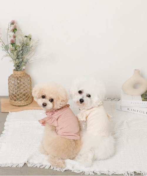 moncheri（モンシェリ）の「リボンスリーブフリルトップス【伸縮性あり・4サイズ展開】（ペットウェア・レディース・ベージュ/ホワイト/ネイビー/ピンク・XL/L/M/S）」の10枚目の写真