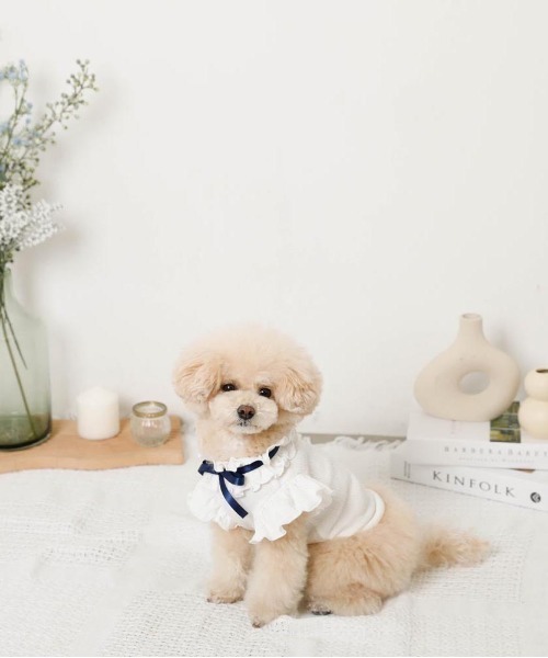 moncheri（モンシェリ）の「リボンスリーブフリルトップス【伸縮性あり・4サイズ展開】（ペットウェア・レディース・ベージュ/ホワイト/ネイビー/ピンク・XL/L/M/S）」の9枚目の写真