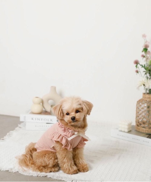 moncheri（モンシェリ）の「リボンスリーブフリルトップス【伸縮性あり・4サイズ展開】（ペットウェア・レディース・ベージュ/ホワイト/ネイビー/ピンク・XL/L/M/S）」の7枚目の写真