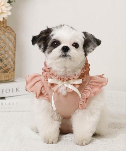 moncheri（モンシェリ）の「リボンスリーブフリルトップス【伸縮性あり・4サイズ展開】（ペットウェア・レディース・ベージュ/ホワイト/ネイビー/ピンク・XL/L/M/S）」の19枚目の写真