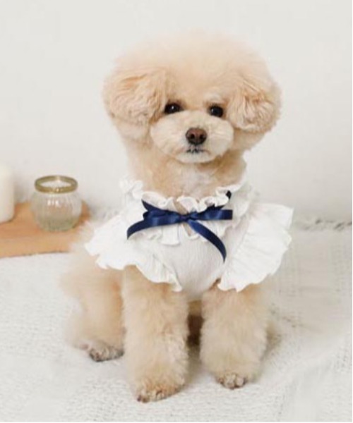 moncheri（モンシェリ）の「リボンスリーブフリルトップス【伸縮性あり・4サイズ展開】（ペットウェア・レディース・ベージュ/ホワイト/ネイビー/ピンク・XL/L/M/S）」の20枚目の写真