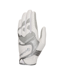 TaylorMade(e[[Ch)TM24 C^[NX 6.0 O[u zCg/O[(StObY)
