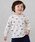 petit mainiveB}Cj́uyveBvzBOYSTVciTVc/Jbg\[jvbI[g~[
