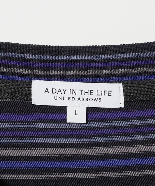 A DAY IN THE LIFE UNITED ARROWS(アデイインザライフユナイテッドアローズ)の「ラスティック ボーダーカットソー<A DAY IN THE LIFE>(Tシャツ/カットソー・メンズ・パープル/オレンジ・L/M)」の20枚目の写真
