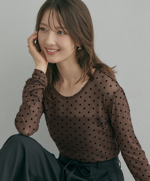 couture brooch(クチュールブローチ)の「フロッキードットチュールトップス(Tシャツ/カットソー・レディース・ブラック系/ダークブラウン系/アイボリー系・38)」の3枚目の写真