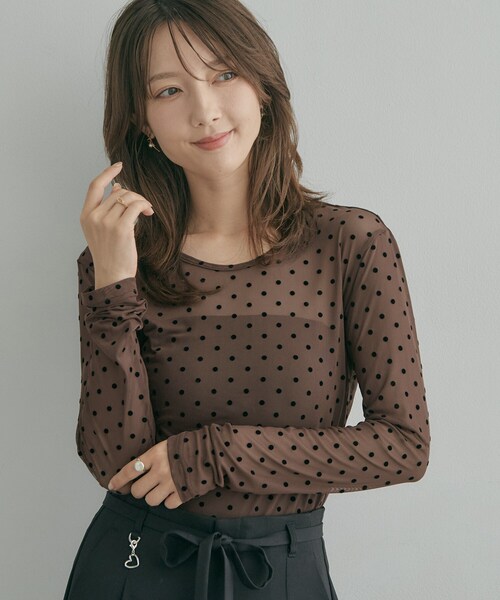 couture brooch(クチュールブローチ)の「フロッキードットチュールトップス(Tシャツ/カットソー・レディース・ブラック系/ダークブラウン系/アイボリー系・38)」の13枚目の写真