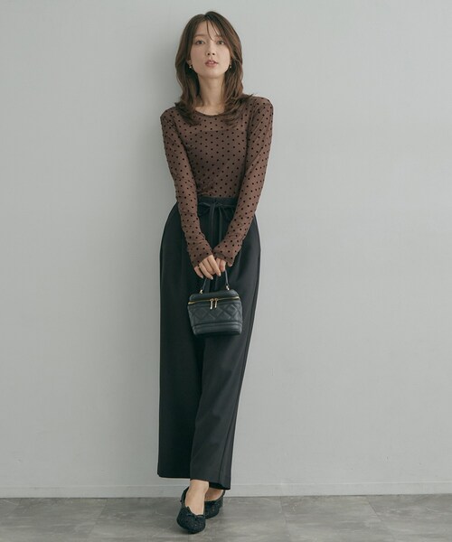 couture brooch(クチュールブローチ)の「フロッキードットチュールトップス(Tシャツ/カットソー・レディース・ブラック系/ダークブラウン系/アイボリー系・38)」の9枚目の写真