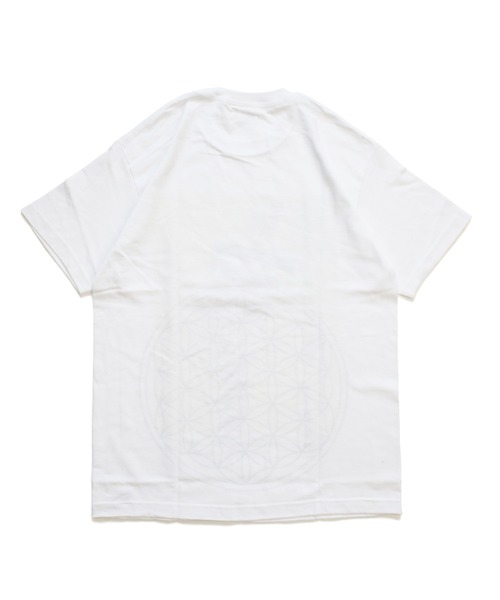 JAM HOME MADE(ジャムホームメイド)の「Nameko Shinsan 五次元 Tシャツ 木登りコアラ(Tシャツ/カットソー・メンズ・ホワイト・M/XXL/L/XL/S)」の7枚目の写真