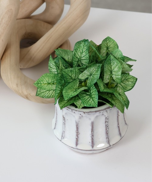 【セール】フェイクグリーン ポット アロエ シンゴニウム アロカシア（フラワーベース）｜emesuelee（エメスーリー）