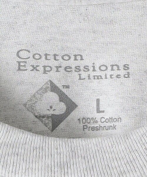 Steven Alan（スティーブンアラン）の「＜Cotton Expressions Limited × Steven Alan＞ S.H DARWIN LS TEE/Tシャツ（Tシャツ/カットソー・メンズ・ライトグレー・XL/L）」の7枚目の写真