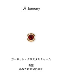 Daniel Wellington（ダニエルウェリントン）の「Birthday Charm 誕生石 チャーム ゴールド（チャーム）」
