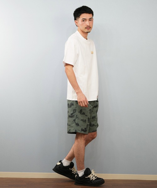 THE NORTH FACE/ザ・ノース・フェイス ALOHA VENT SHORT