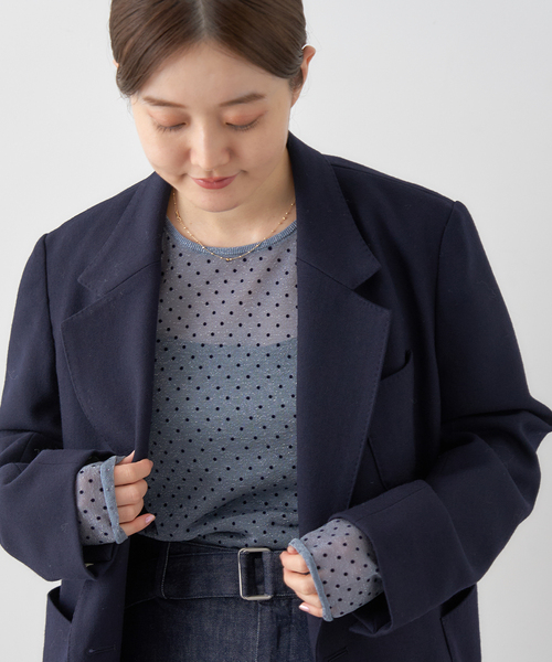 IENA(イエナ)の「《追加3》フロッキードット シアー プルオーバー(ニット/セーター・レディース・チャコールグレー/ゴールド・FREE)」の5枚目の写真