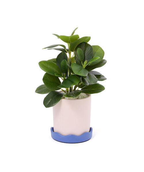 ポット付きアートグリーン ぺペロミア S 人工観葉植物 装飾